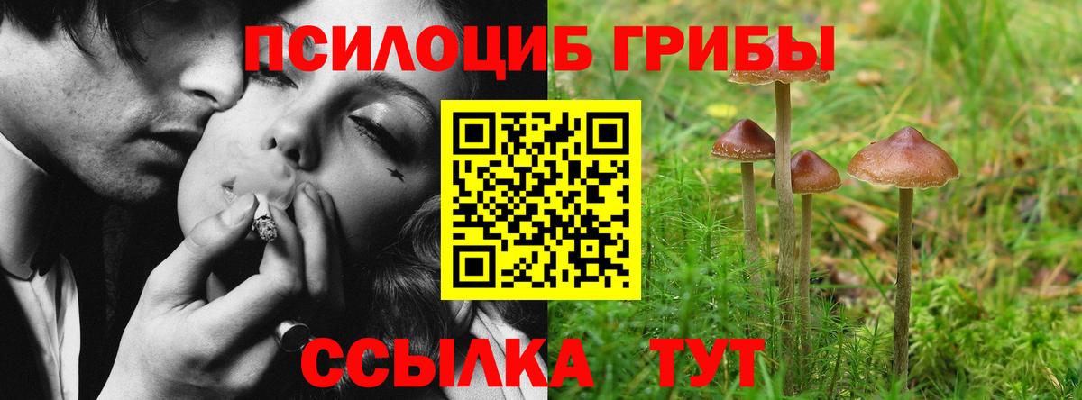 Галлюциногенные грибы мухоморы Хабаровск